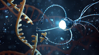 NANOROBOTS IN HEALTHCARE